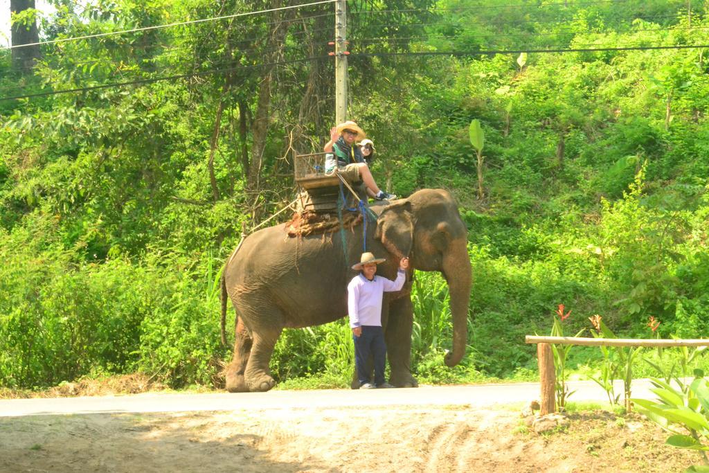 Pai Bamboo Hut Hotel ภายนอก รูปภาพ